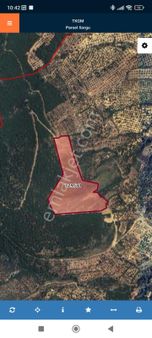 Golden Globy'den Burhaniye-yunuslar'da Satılık 51,5 Dönüm Tarla