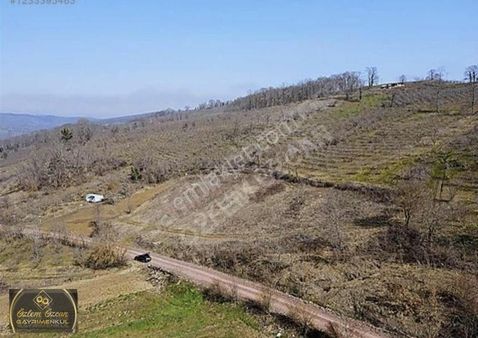 Kandıra Karadivan 48m Yol Cepheli