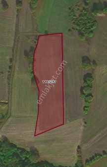 Kocaeli İzmit Böğürgen