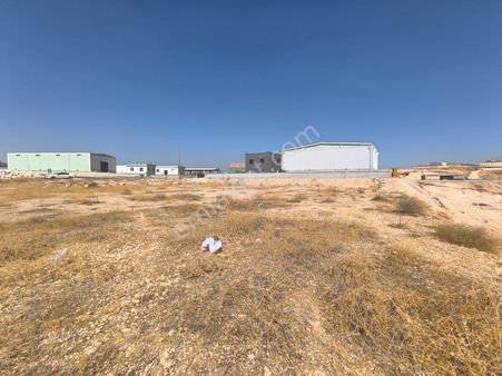 World İlkevim'den Organize Besi’de Yatırımlık Çiftlik Arsası!