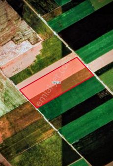 Sezenlar Emlaktan Çumra Okçu Mahallesi'nde Satılık Tarla