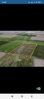 Burdur Karamanlı Mancada 16 Dönüm Elma Armut Bahçesi