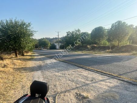 Manzarali Hobi Bahcesi