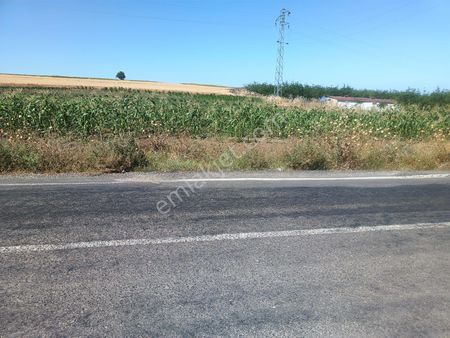 Tekirdağ Şarköy Kocaeli Köy Yolu