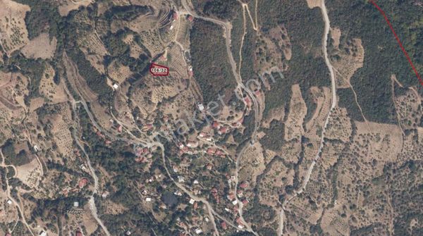 Nazilli Yaylapınar Mahallesinde Satılık Köyiçi Arsa...