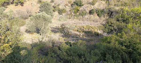 Bodrum Mazı Mahallesinde Satılık Tarla