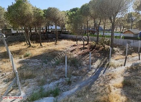 Üç Elmastan Çam Ağaçları İçinde 500 M²muhteşem Fiyata Bir Bahçe