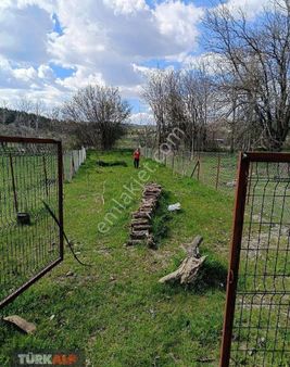 Denizli Bozkurt Ta Arsa