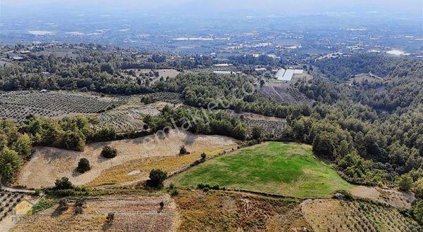 Fethiye Seydikemer Yakada 37.590 M² Müstakil Tapulu Tarla