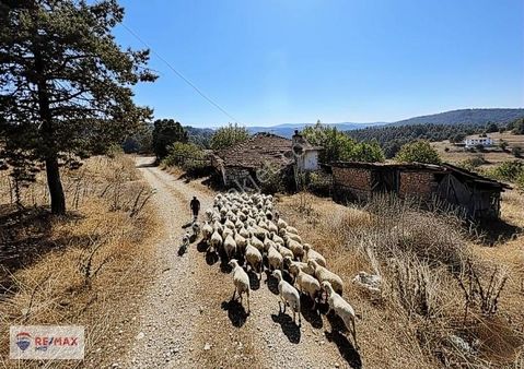 Remax Mıd - Taş Yapı Ve Arsası - 391 M2 - Karapınar