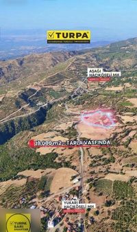 Turpa'dan Asfalt Yol Cepheli Satılık 19 Dönüm Tek Tapu Arazi