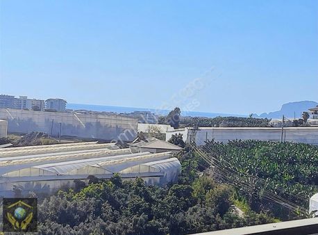 Site İçi Stüdyo Daire Yatırımlık Firsat Daire