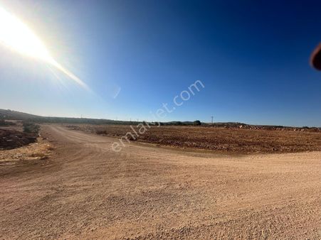 Mesken Emlakdn Kürüm Mah 2 Tarafı Resmi Yol Bağevlik Çok Hesaplı