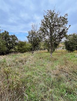 Sapancada Yüzde 30 İmarlı Satılık Arsa