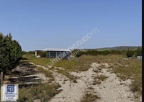 Kırşehir Kaman Şehirle İç İçe Tek Tapu