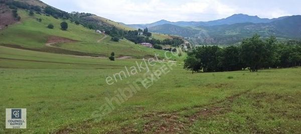 Tunceli Merkez Ismet İnönü Mahallesi Arsa