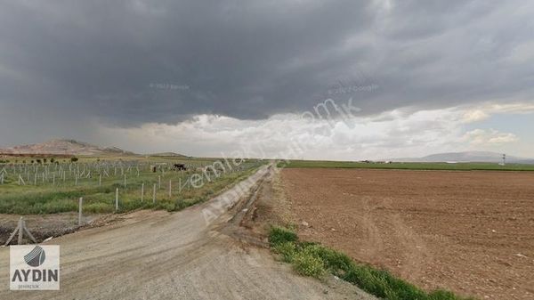 Aydın Satıyordan Meram Yenibahçe De 13.113 M2 Yola Cephe Tarla