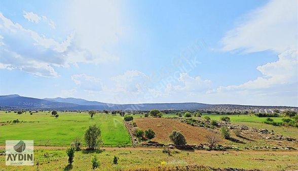 Aydın Satıyor'dan Konya Akören Agalar Mh 1.330m2 Tarla