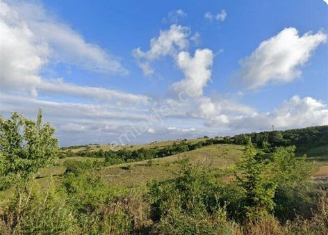 Kocaeli/ Kandıra/ Üğümce De Asfalt Yola 2. Parselde Tek Tapu 2.800 M2 Satılık Tarla