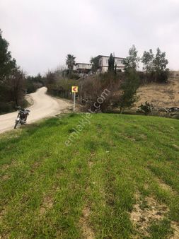 Ana Yol Cepheli Satilik Tek Tapu Tarla