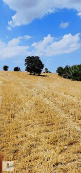 Derbent Çiftliközü Mh 13272 M2 Tarla Ana Yola Çok Yakın