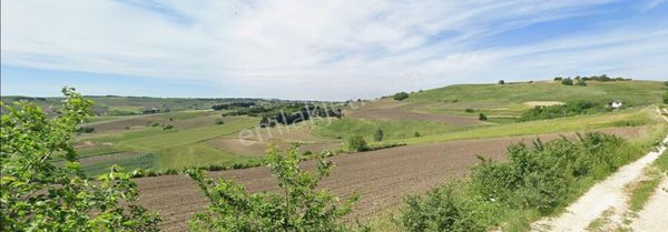 Büyükçekmece Celaliye Satılık Tarla