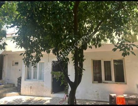 Aydın Nazilli Pınarbaşı Mahallesi'nde 228 M2