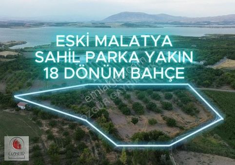 Özgür'den Eski Malatya Sahil Parka Yakın Satılık 18 Dönüm Bahçe