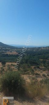 Dikili Nebiler Köyünde Denizi Gören 6.410metrekare İçinde Suyu Olan Tarla