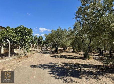 Mudanya Yörükali'de 3150 M2, Deniz Manzaralı Yatırımlık Arazi