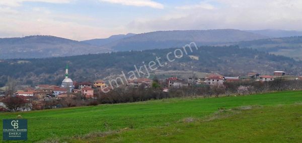 Geyve Yatırımlık Tarla! 8.243 M²,köy Merkezine 100 Metre