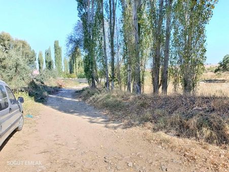 Söğüt Emlak'tan Karaağaç Ta Satılık Bahçe