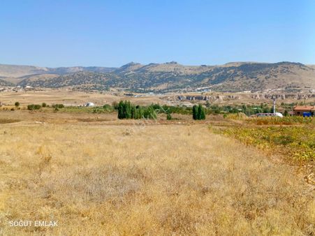 Söğüt Emlak'tan Karaağaç Ta Satılık Tarla