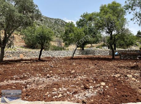 Marmaris Taşlıca Köyünde Çevre Duvarları Yapılmış Yoluolan Arazi