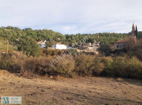 Milas Ortaköy 2 Adet Bahçe Vasıflı Arazi