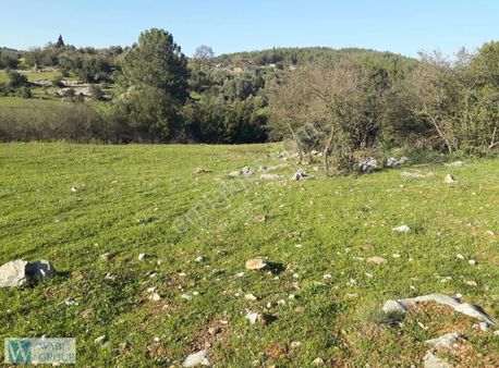 Milas Çamovalı 2290 M2 Tarla Vasfındanarazi