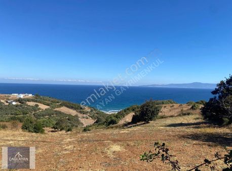 Mudanya Eğerce'de 4500 M'2 Deniz Manzaralı Satılık Tarla