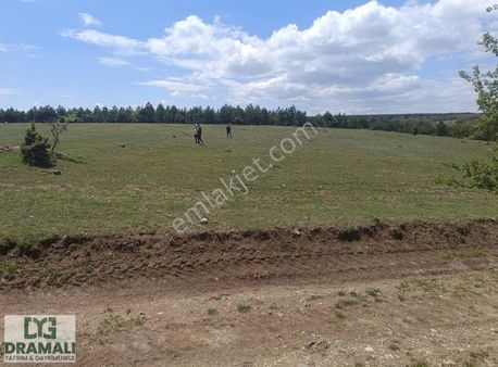 Resmi Yolu Mevcut Köye Yakın Arazi