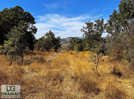 Balıkesir Sındırgı Bulak 3.226 M2 Tarla