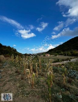 Bafra Vip Gayrimenkulden Yakakent Merkezde Satılık Arsa