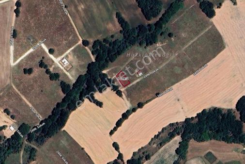 Tekirdağ Saray Büyükyoncalı’da Satılık 373 M² Müstakil Tapulu