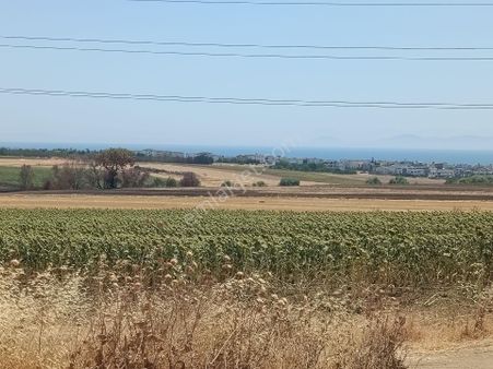 Tekirdağ Marmara Ereğlisi Çeşmeli Her Bütçeye Uygun Yerlerimiz Mevcut