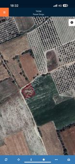 Satılıktarla Yolu Suyu Başında