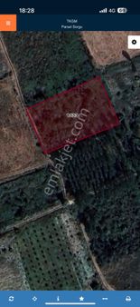 Satılık Tarla Yolu Suyu Başında