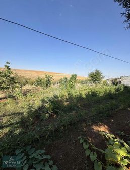 Meram Çayırbağı Kurulu Düzen Bahçe Evi Elektirik Su Var