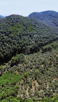 Dalaman Şerefler'de Doğayla İç İçe 5500 M2