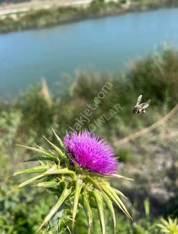 Dalamanda Merkezi Konumda %30 3 Kat İmarlı 430 M² Satılık Arsa