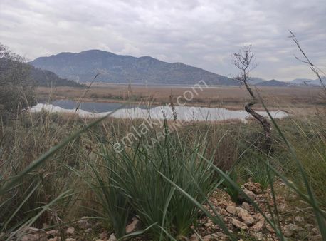 Dalaman Kapıkargında Göl Manzaralı 2650 M2 Satılık Tarla
