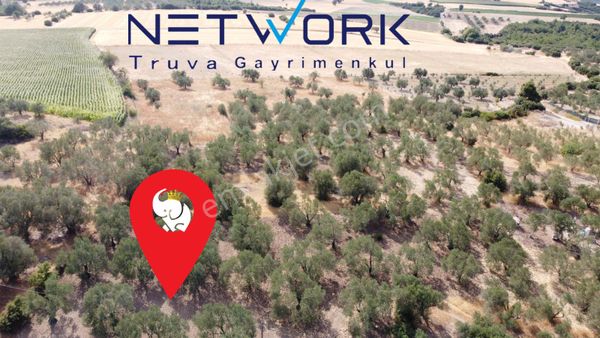 Çanakkale Merkez Gökçalı Köyünde Yatırımlık Zeytinlik Arazi!