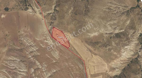 Yıldız Gayrimenkulden İşhan Köyü Köpeksolutan Mevki 400 Mt Tarla Hissesı